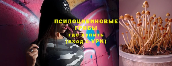 крисы Вяземский