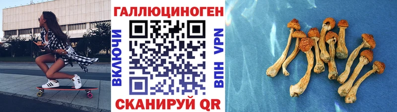 Псилоцибиновые грибы мицелий  где купить наркоту  blacksprut маркетплейс  Томск 