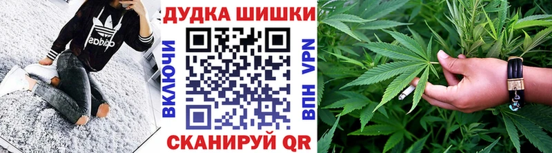 Бошки Шишки Amnesia  Томск 